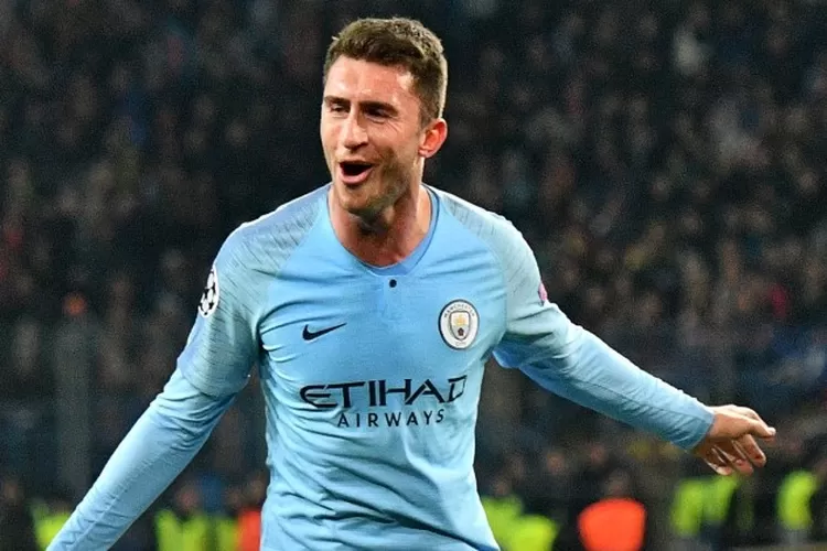 Linimasa Man City vs Fulham Sejarah Pertemuan dan Rivalitas